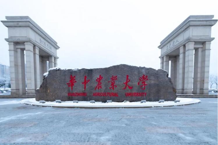 湖北大学进步神速,湖北省武大华科名次