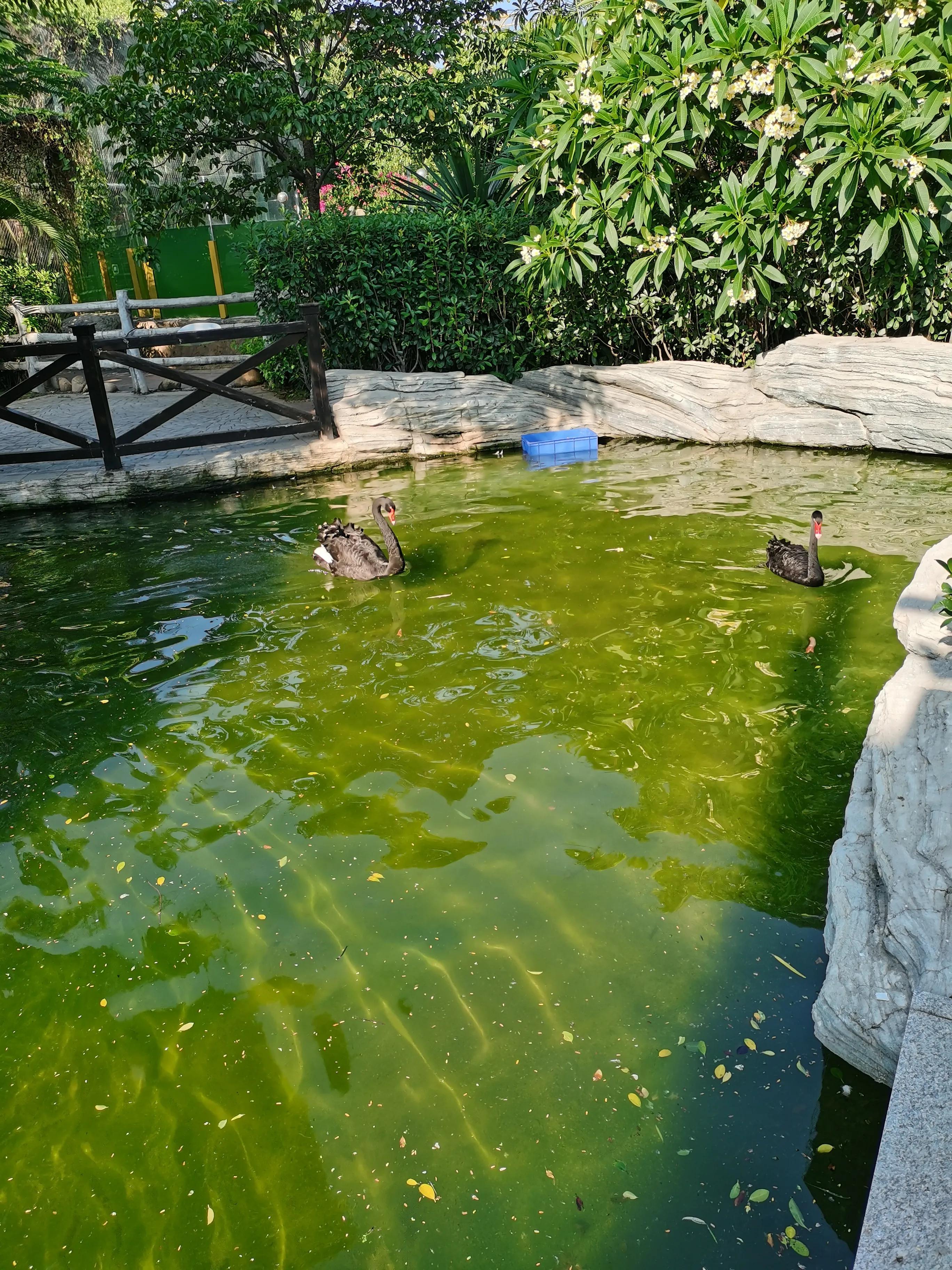 灵玲马戏团游玩感想,厦门灵玲马戏团有休息的地方吗