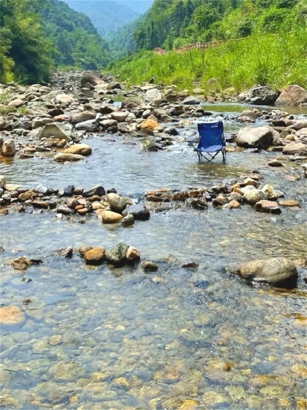 广州从化赏荷花胜地,从化草埔荷花