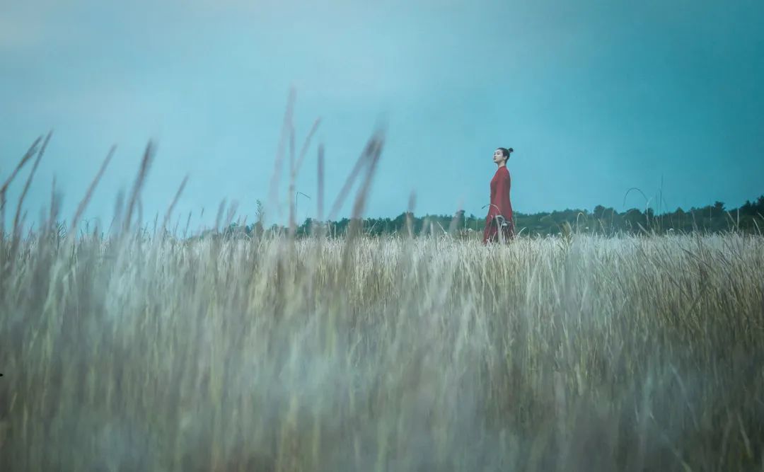 苏轼最失意的诗句却治愈了所有人,苏轼晚年孤独的诗四句