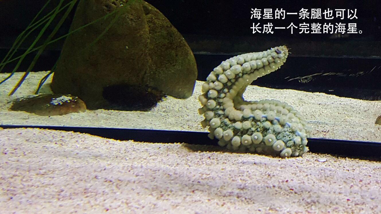 去中心化是什么的一个特点,去中心化是什么意思呢