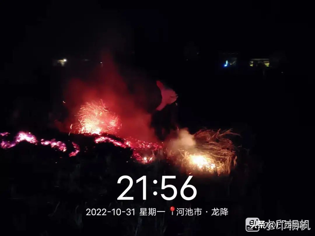 广西25人被查处,广西42人被判刑案例