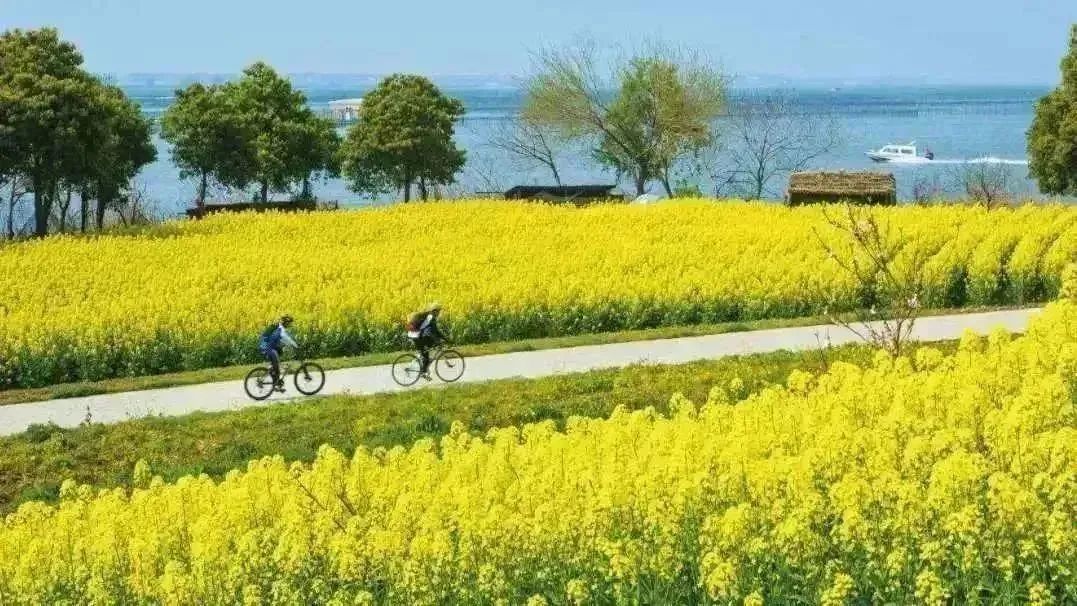 苏州水上行旅游攻略,苏州乘船旅游