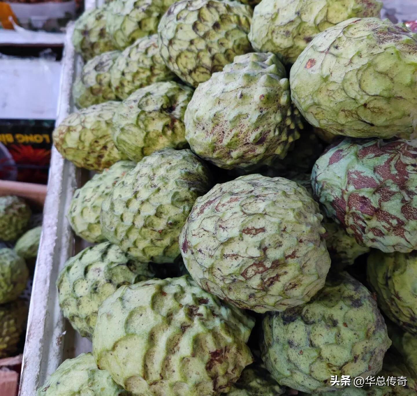 海南的蔬菜水果为什么贵,海南省哪个市的水果最便宜