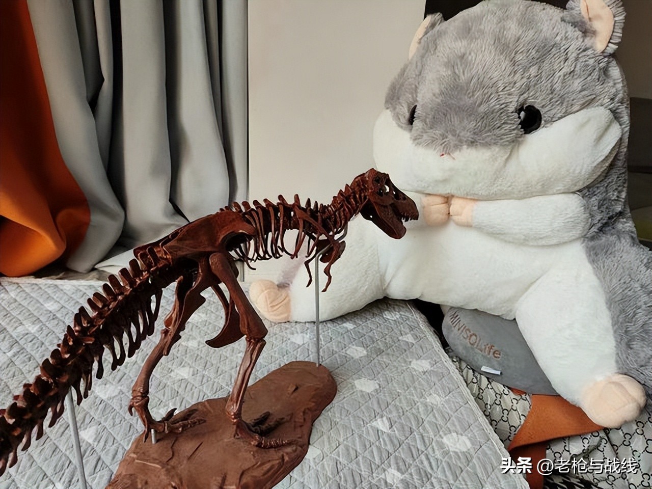 如何制作霸王龙骨架,用硬纸板做霸王龙骨架教程