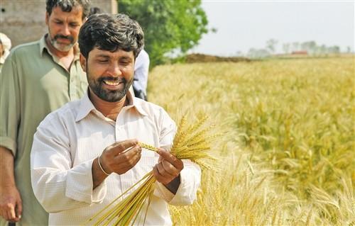 中国对巴基斯坦基建援助,巴基斯坦对巴铁的影响