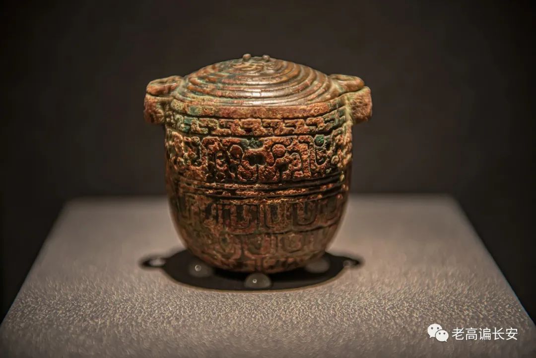 假期参观陕西考古博物馆,陕西考古博物馆开馆直播