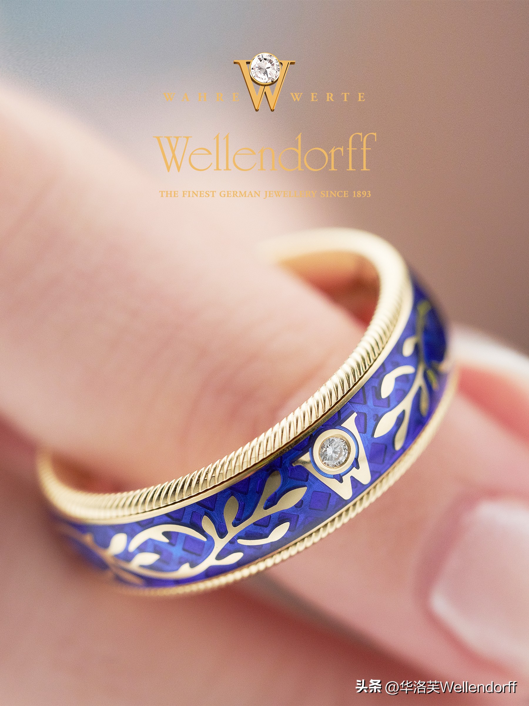 forgetmenot勿忘我,forgetmenot国外女贝斯手