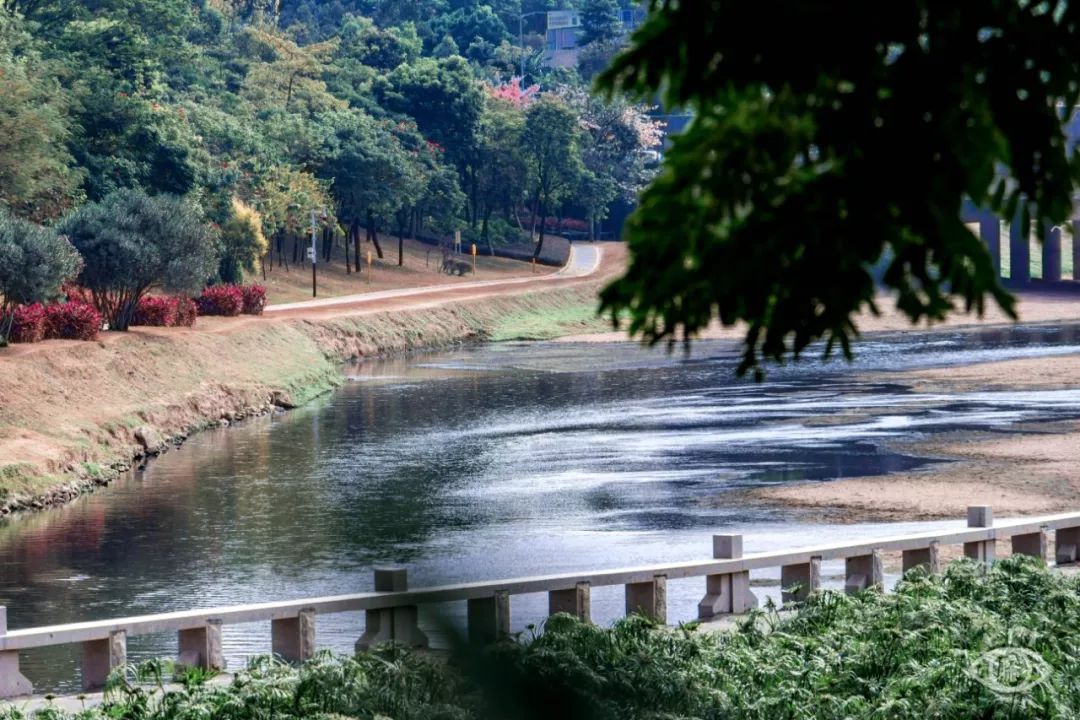 国内好看小众的湖泊,深圳好玩的湖泊有哪些