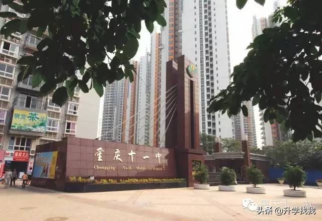 重庆小升初有哪些学校可以推荐,重庆南岸区中学排名前十名