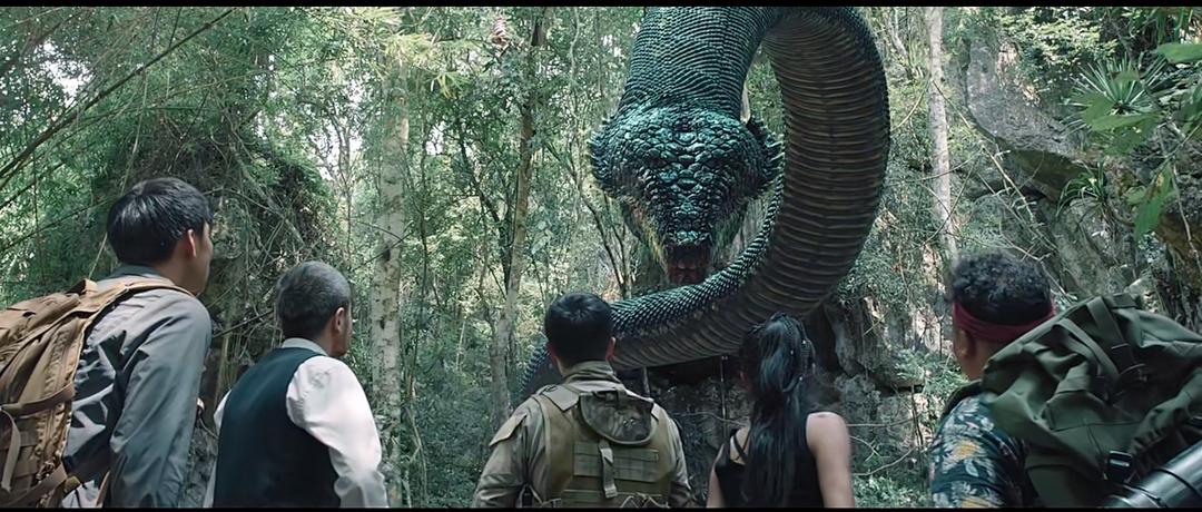 如果被蛇吞下了会发生什么,人被蛇活吞的实验