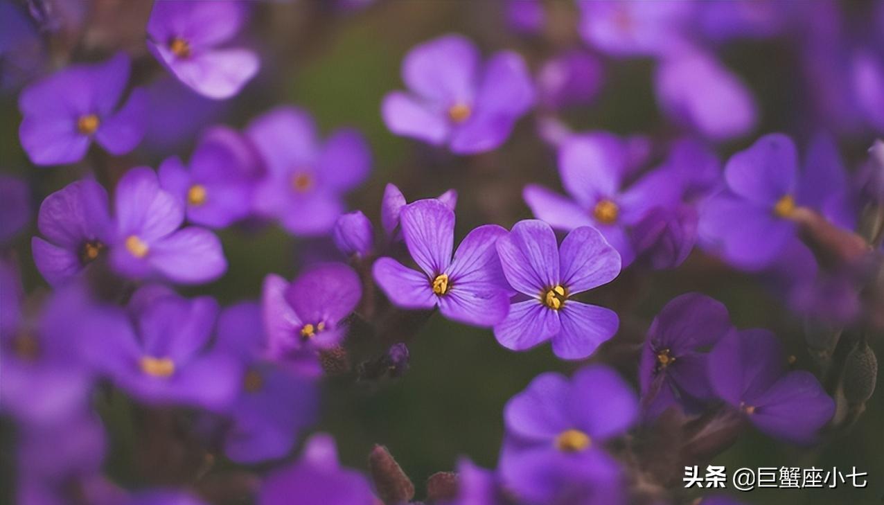 被动理智慢热的星座男,越爱你越忽冷忽热的星座男