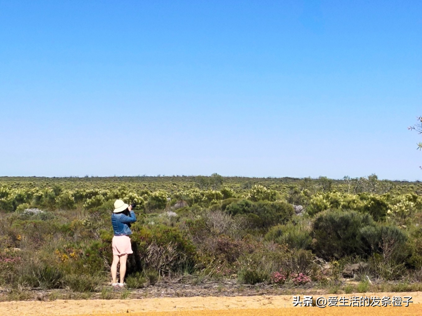 一路向北全程1980公里,西澳自驾游最佳路线图