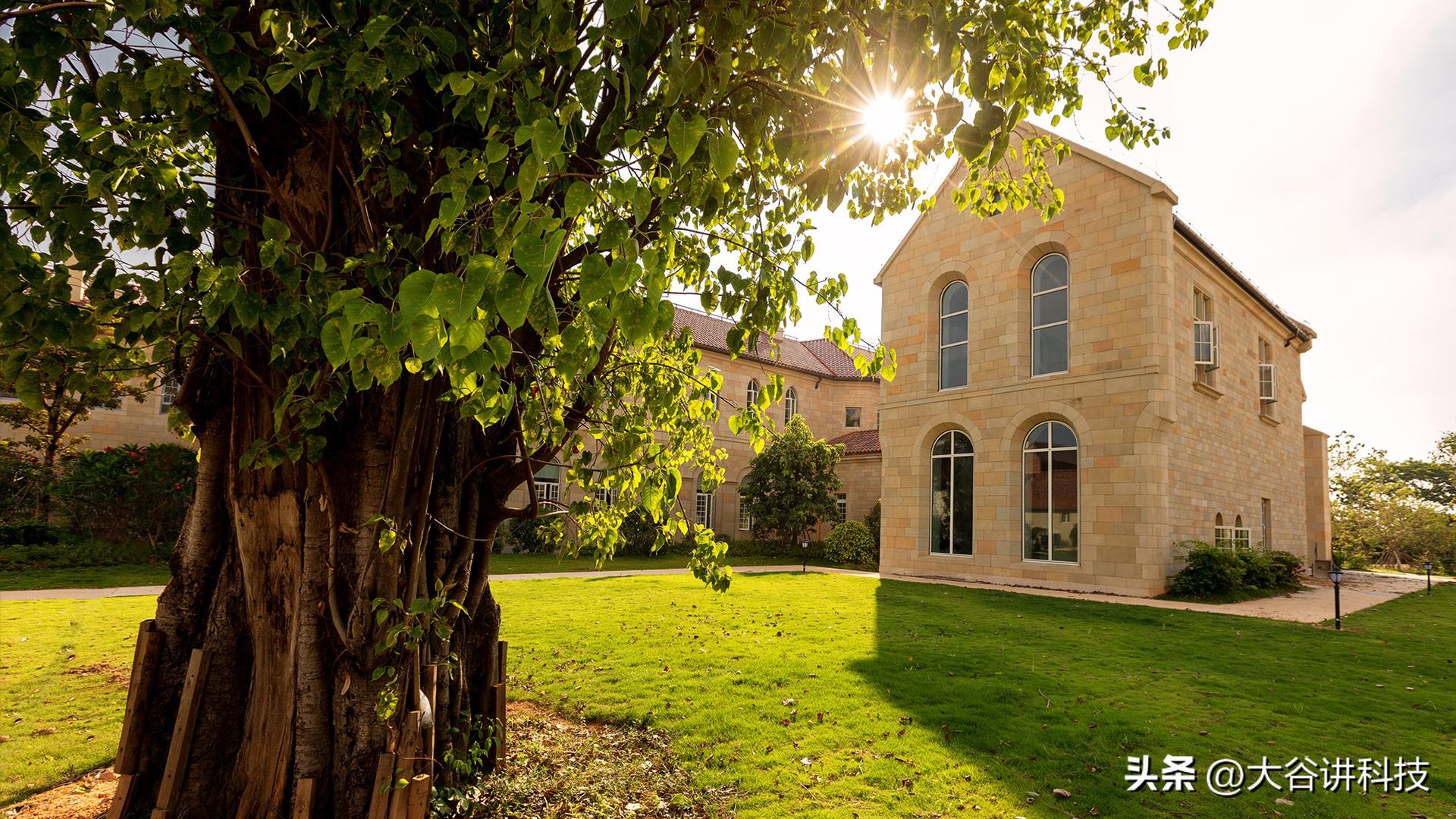 华为手机逆势发展,华为手机凭什么逆势而上