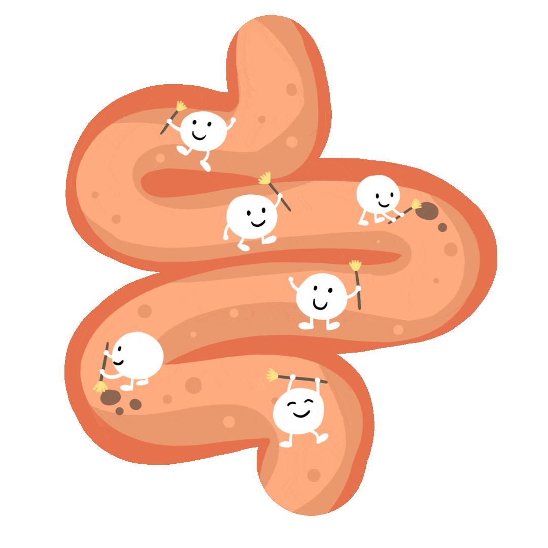 为什么吃了药经常放屁是在排毒吗,经常放屁是排毒要警惕这四种原因