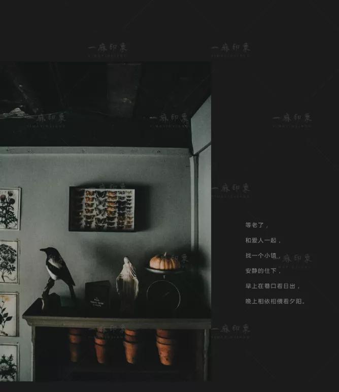 莫兰迪色高级灰人像教程,高级色调莫兰迪色搭配