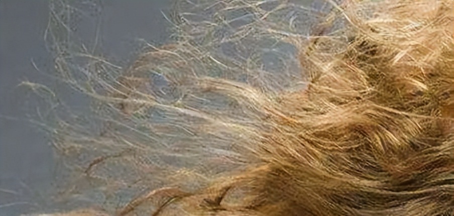 头皮油腻如何改善头发干燥,头皮干燥怎么让头发变得很滑溜