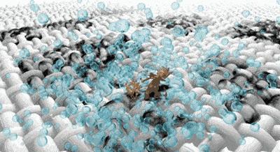 祖玛珑蓝风铃香水同款洗衣液,洗衣液祖玛珑