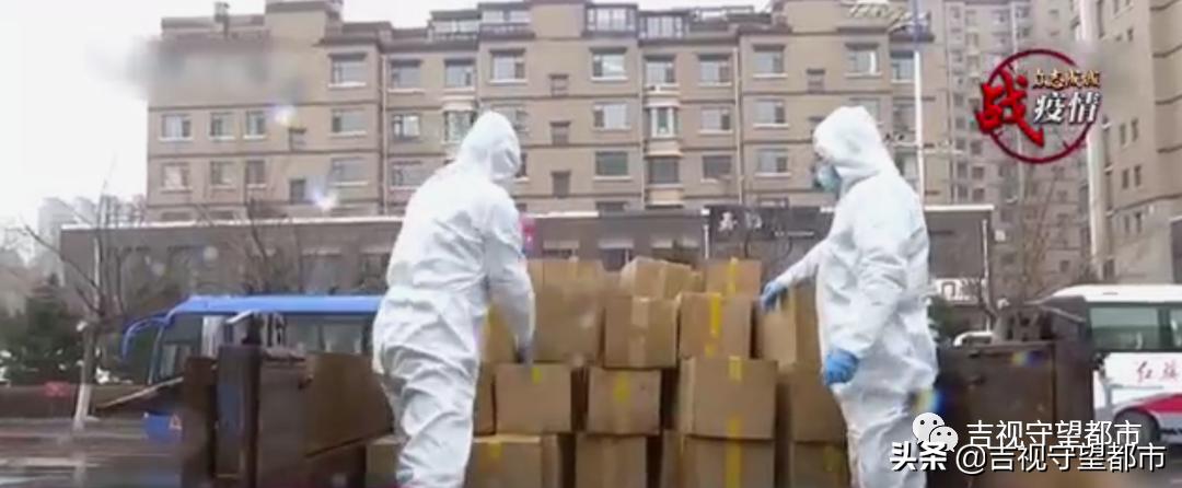 白山支援160吨蔬菜,白山支援长春蔬菜160吨