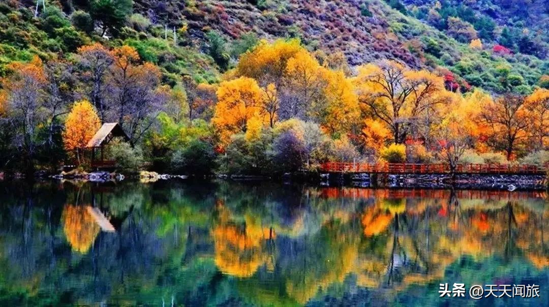 九寨归来不看水四川行,九寨归来不看水峨眉归来不看山