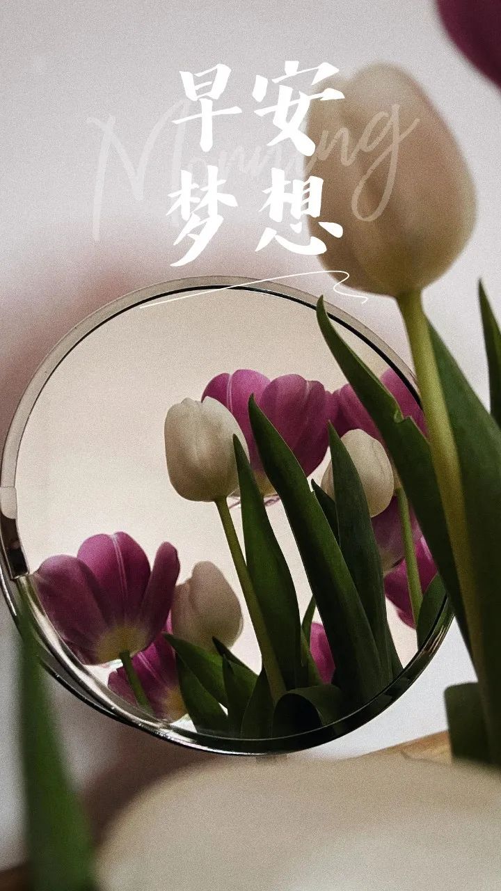 早安语录正能量朋友圈关于梦想,有梦想励志早安语句带图片