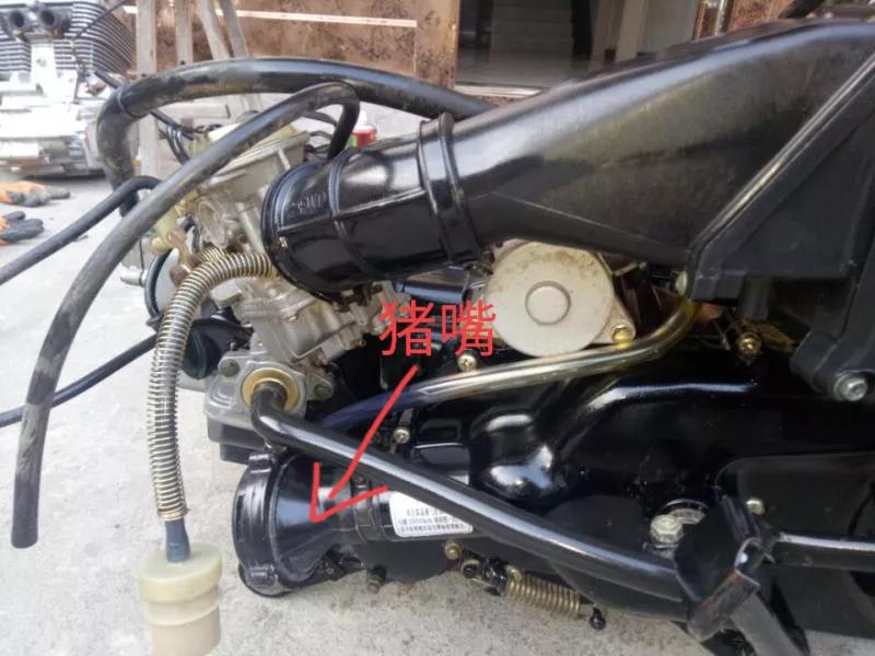 踏板界的神车,铃木海王星踏板测评