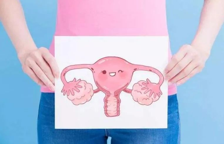 乳酸菌和乳酸杆菌,乳酸杆菌和抗菌肽