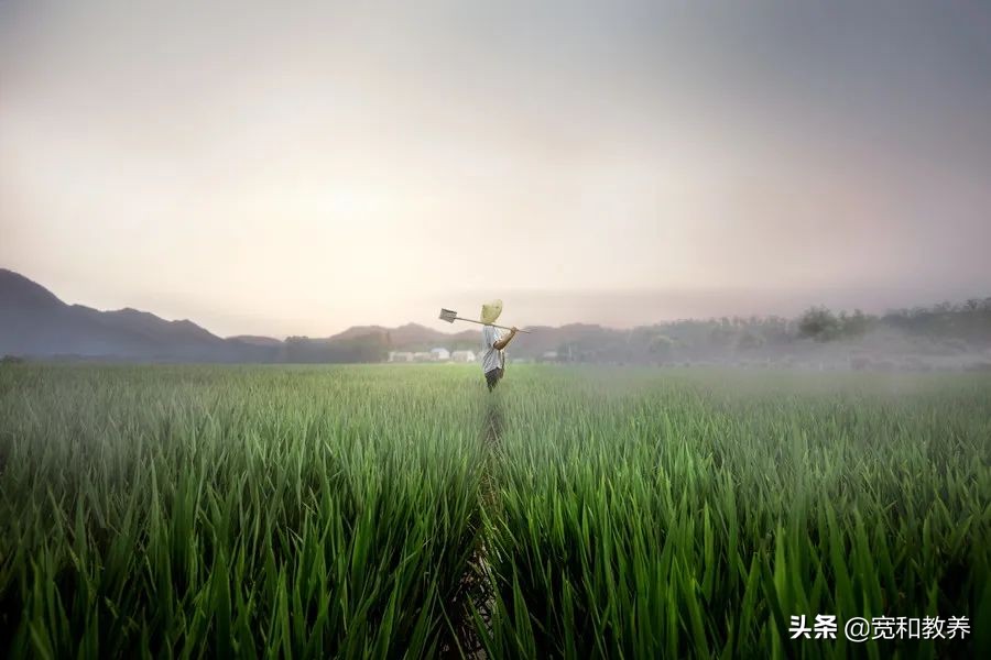 孩子不爱洗脸怎么引导,孩子不爱刷牙洗脸怎么办