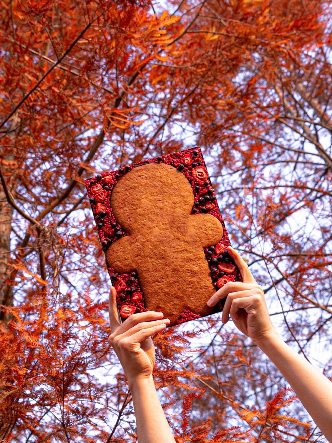 圣诞节礼物你更喜欢哪一款,圣诞节有什么好看的小礼物