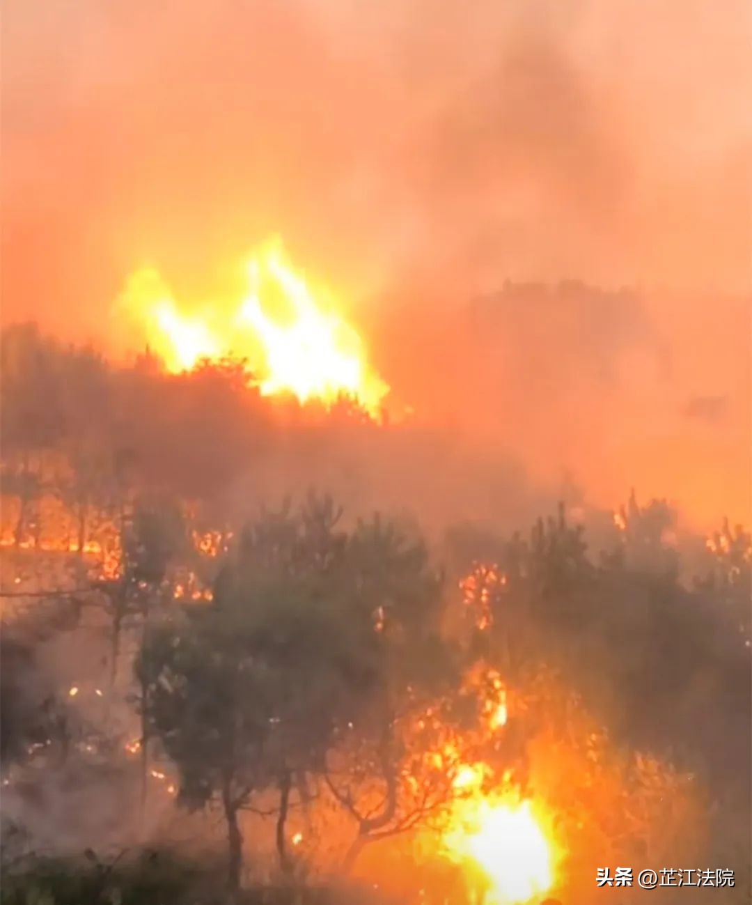 引发山火过火面积超过136亩判几年,意外失火引发山火
