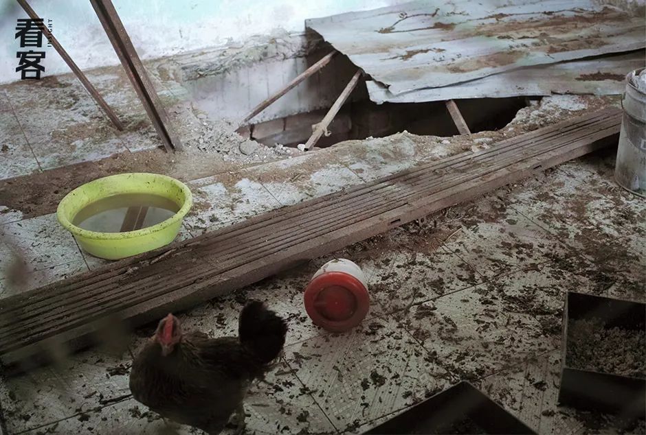 我在贞观搞科学小说最新章节,我在修仙世界搞科学