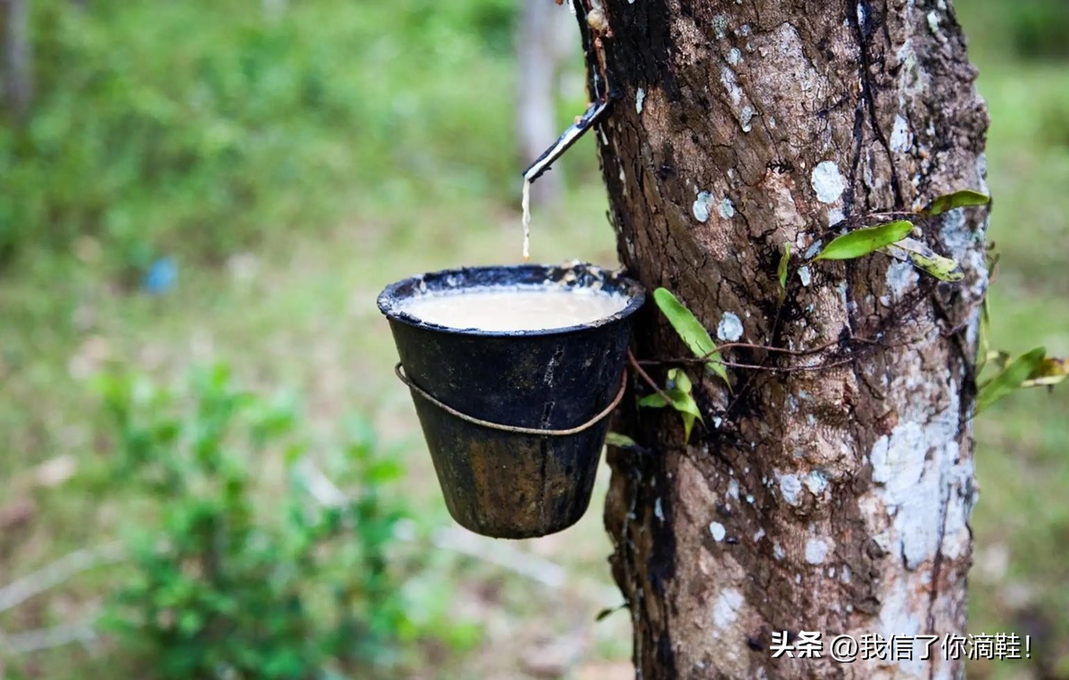 休闲软底皮鞋男,休闲皮鞋怎么选男