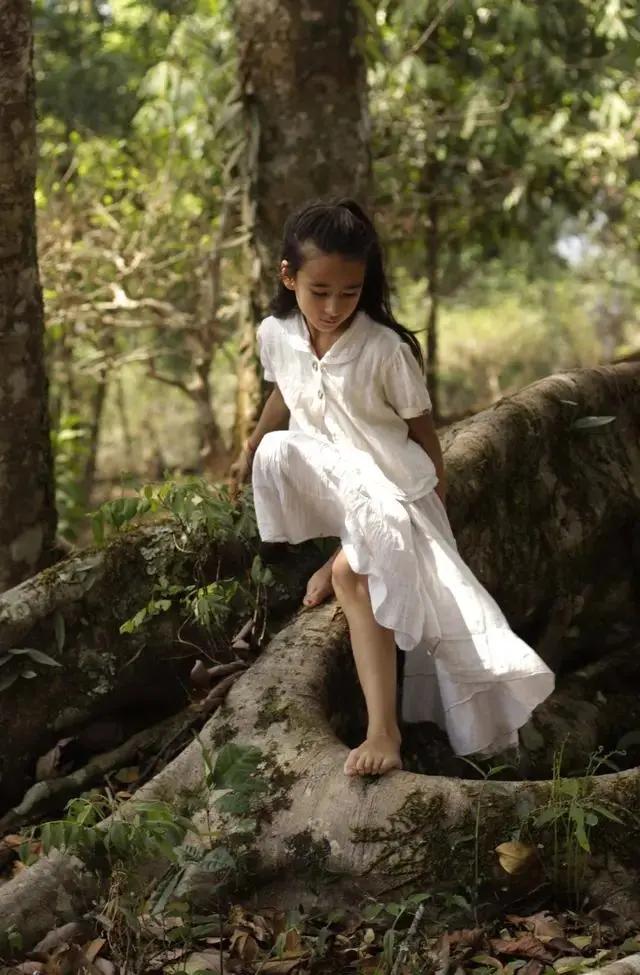 爱，在雨林绽放璀璨星光