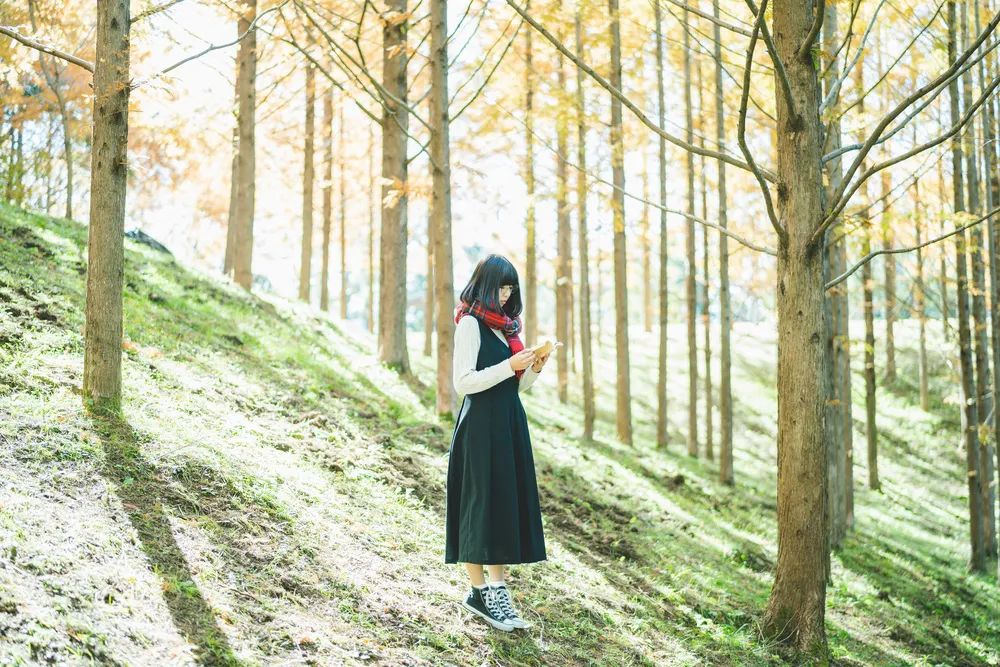 李雪琴的深度解析,对李雪琴塑料袋理论的看法