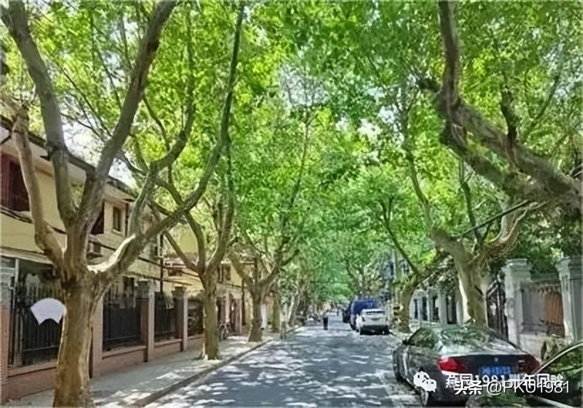 思南县最新事件,思南路发生的事