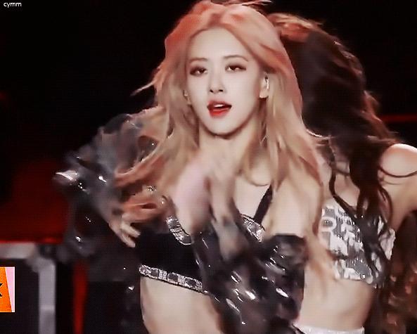 澳洲玫瑰rose (美到窒息的澳洲玫瑰)