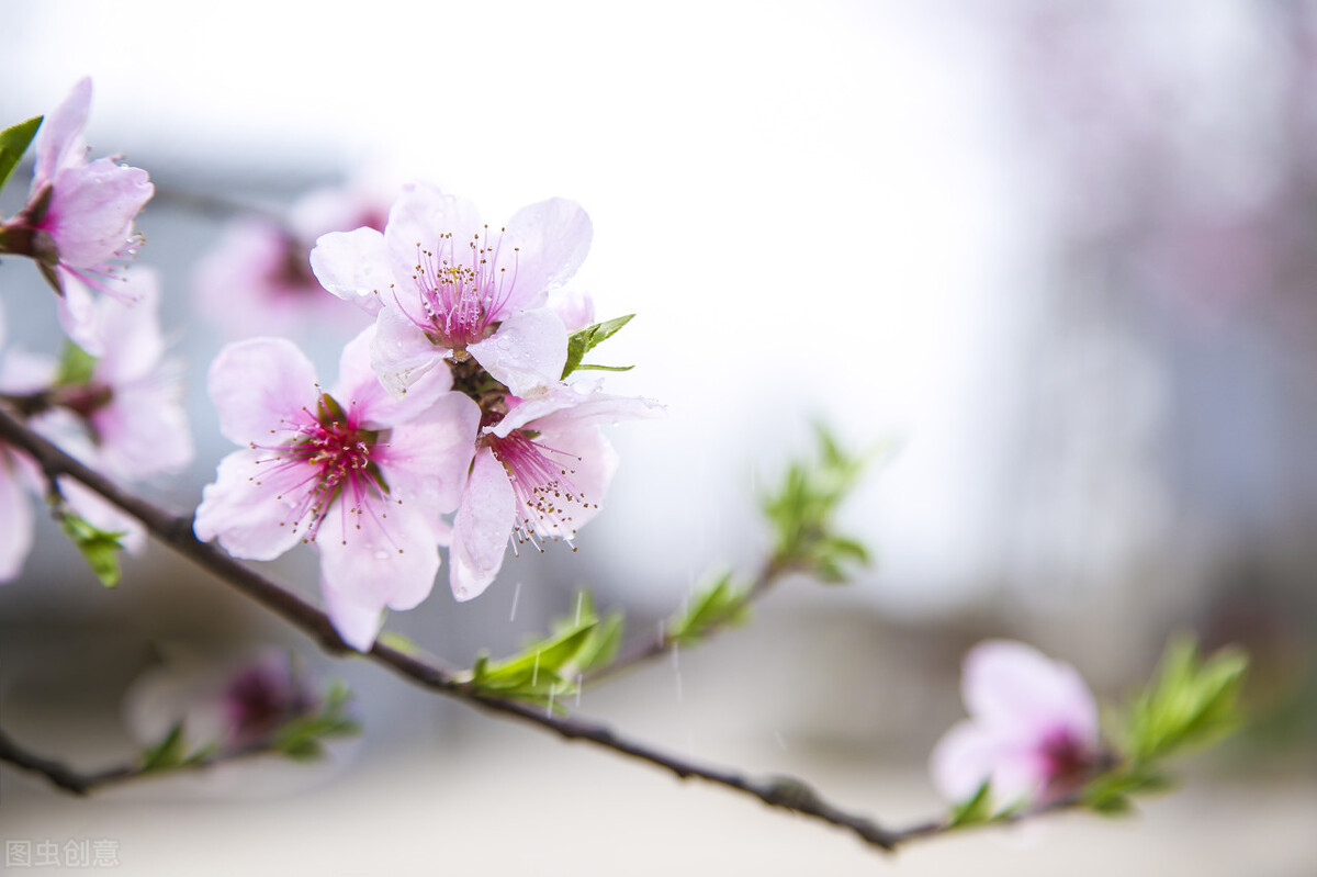 大多数老人退休后的现状,退休后老人的生活状态有哪些