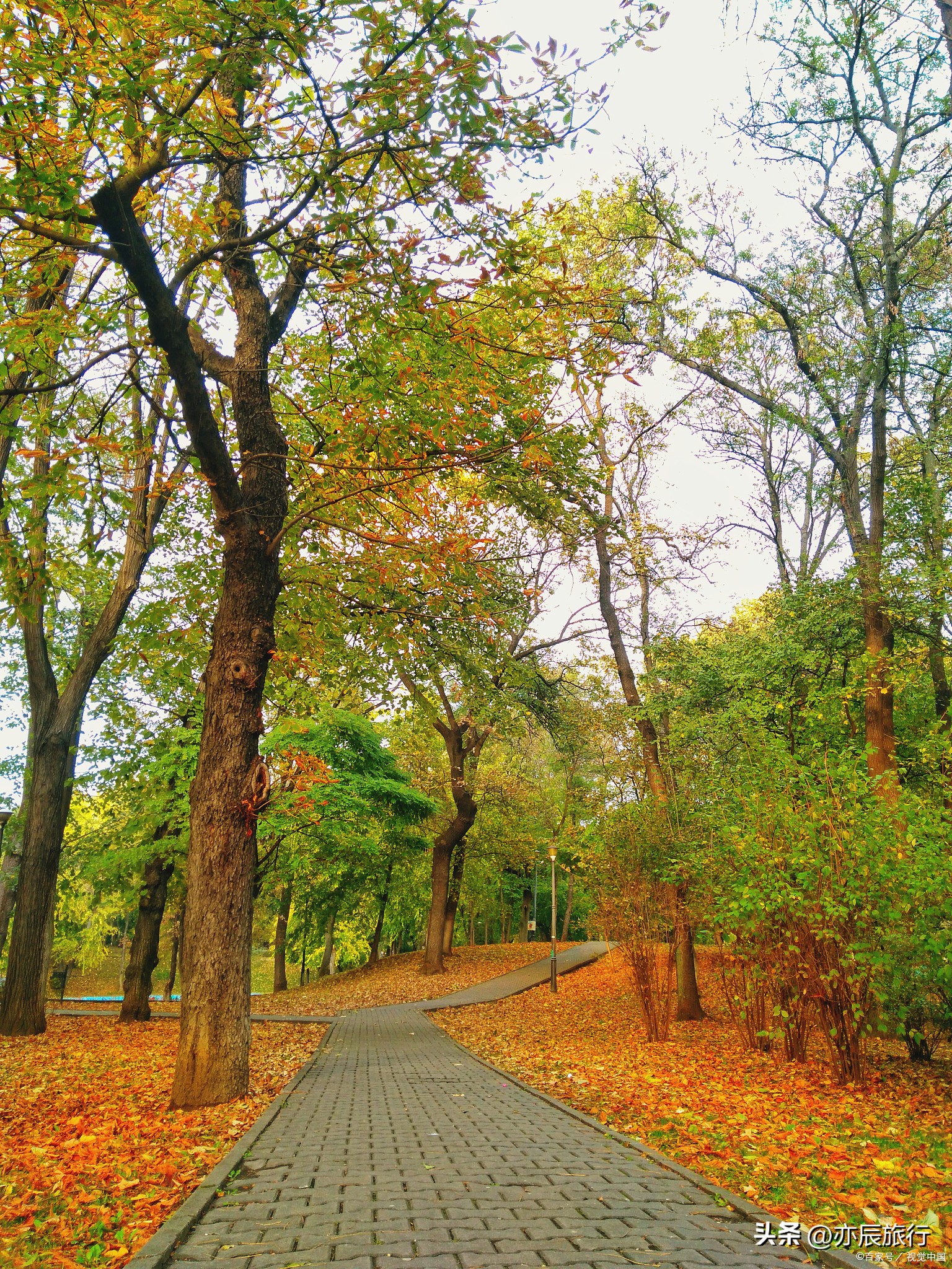 南昌秋季旅游攻略最新版,南昌秋季好玩的地方推荐
