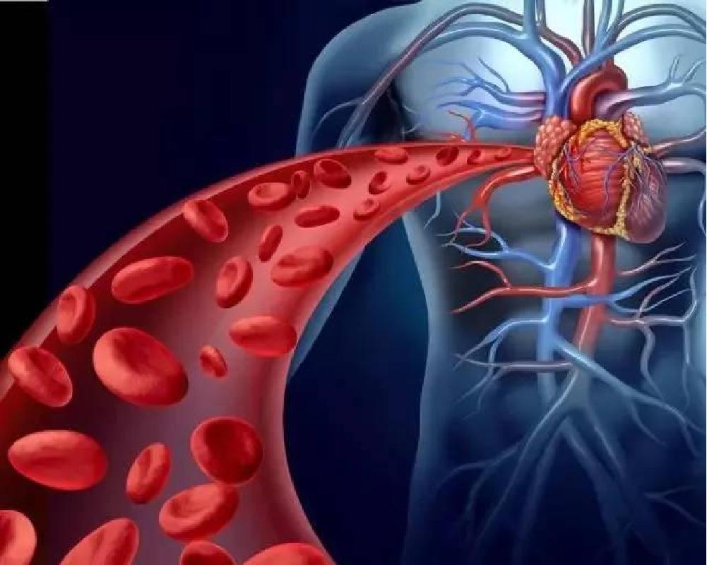 蛇獴能打败眼镜蛇，不慎被毒蛇咬伤也没事？抗毒原理能否用于人类