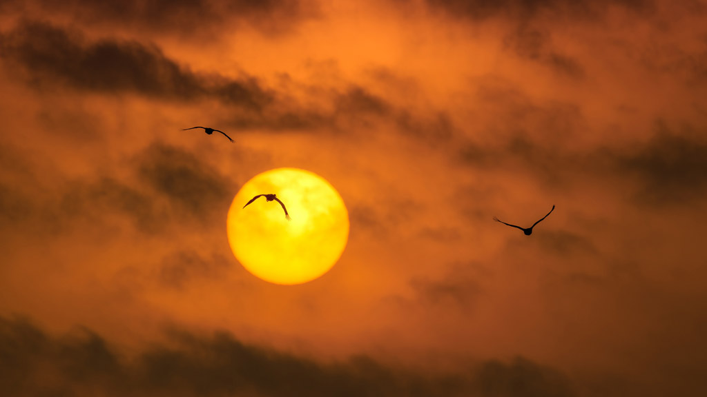 赚钱是唯一可以维持生活的方式,赚钱养生才是唯一的出路