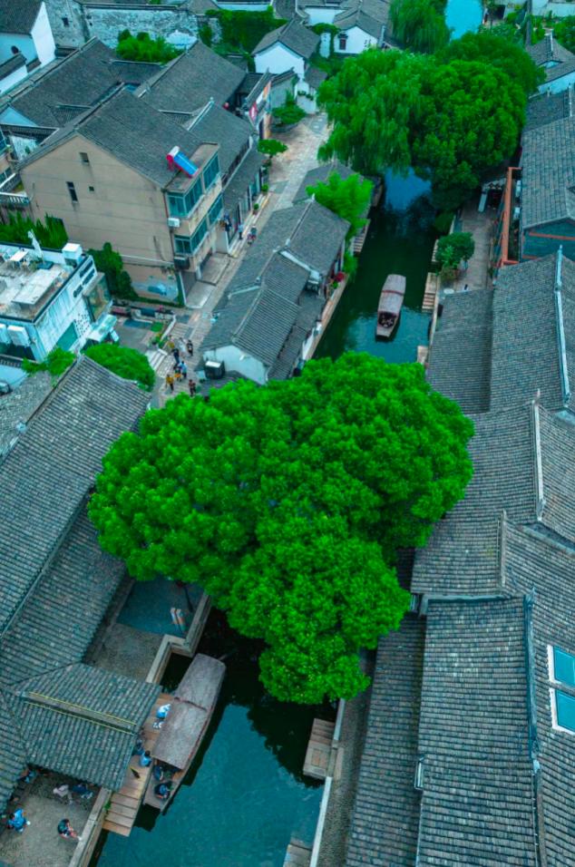 跟着“总台饕餮号”去吴江，尽享文化+美味