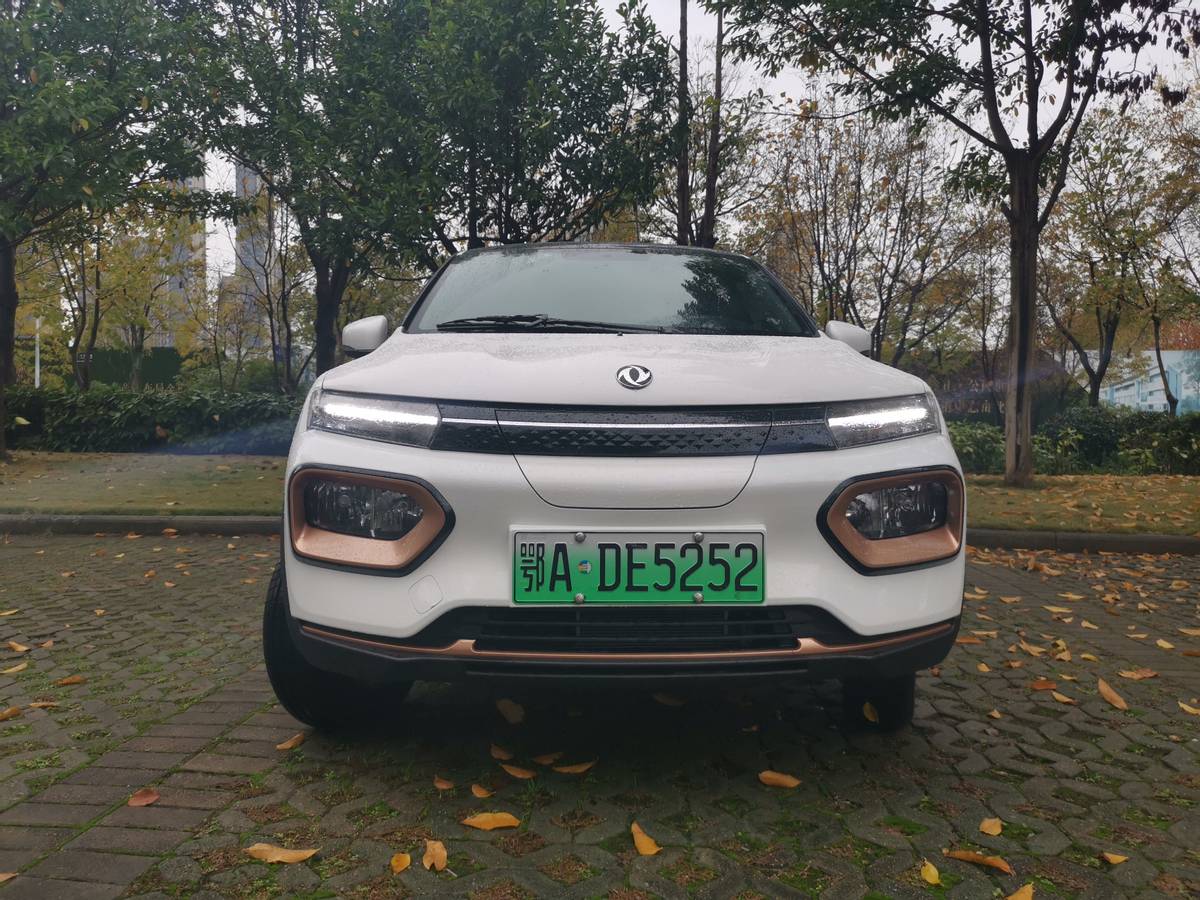 纳米box新能源车出海,纳米box是油改电吗