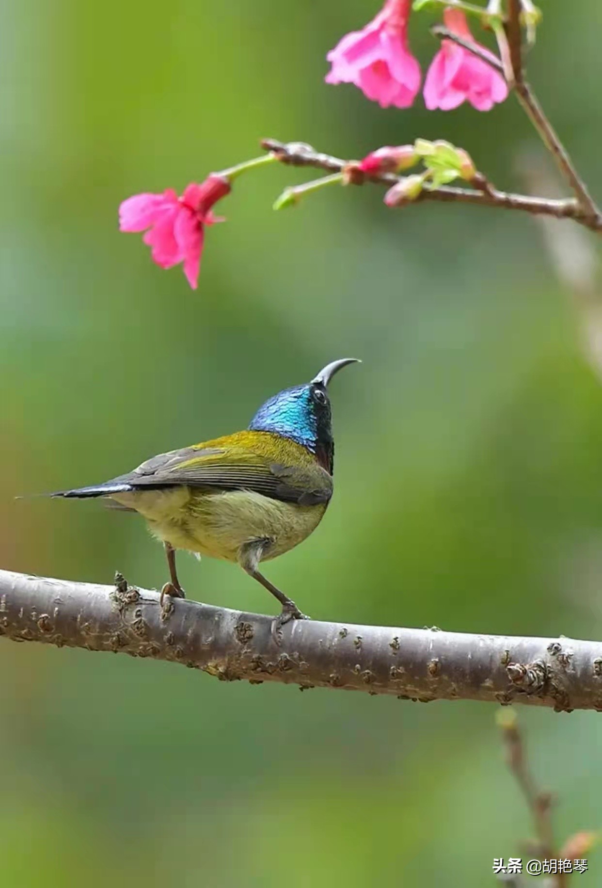 100个姓氏诗词,姓氏诗100句