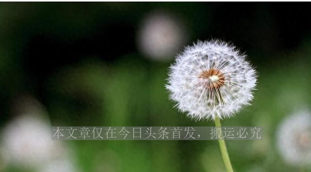 60岁的少女马兰,没有皱纹也没有赘肉,余秋雨娶她堪比获诺贝尔奖