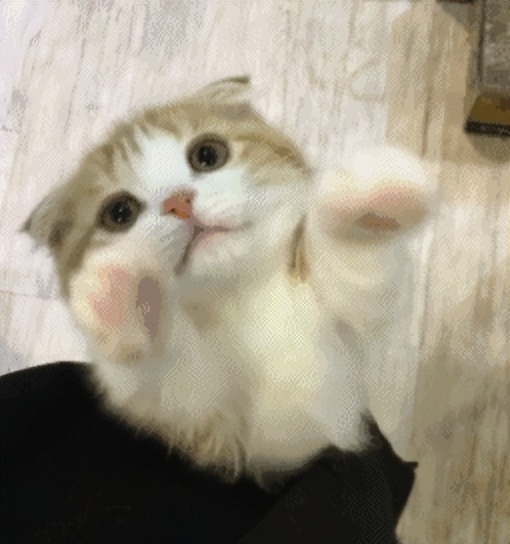 猫尾巴油腻是什么原因,猫的尾巴总是油油的