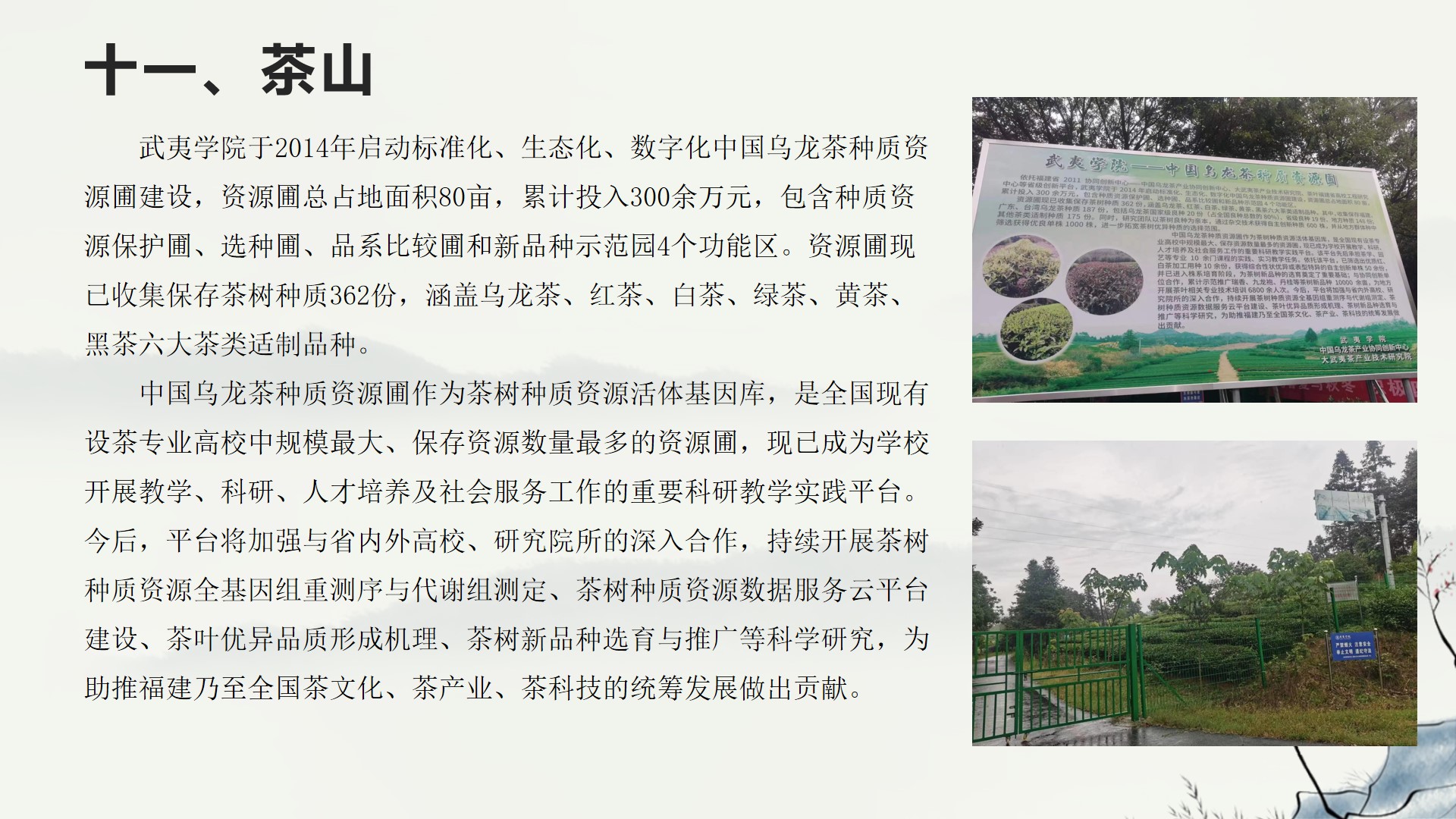 武夷学院野餐,武夷学院校园游览视频