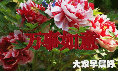 清晨开心幸福问候表情图片,早上好祝你天天开心表情图片