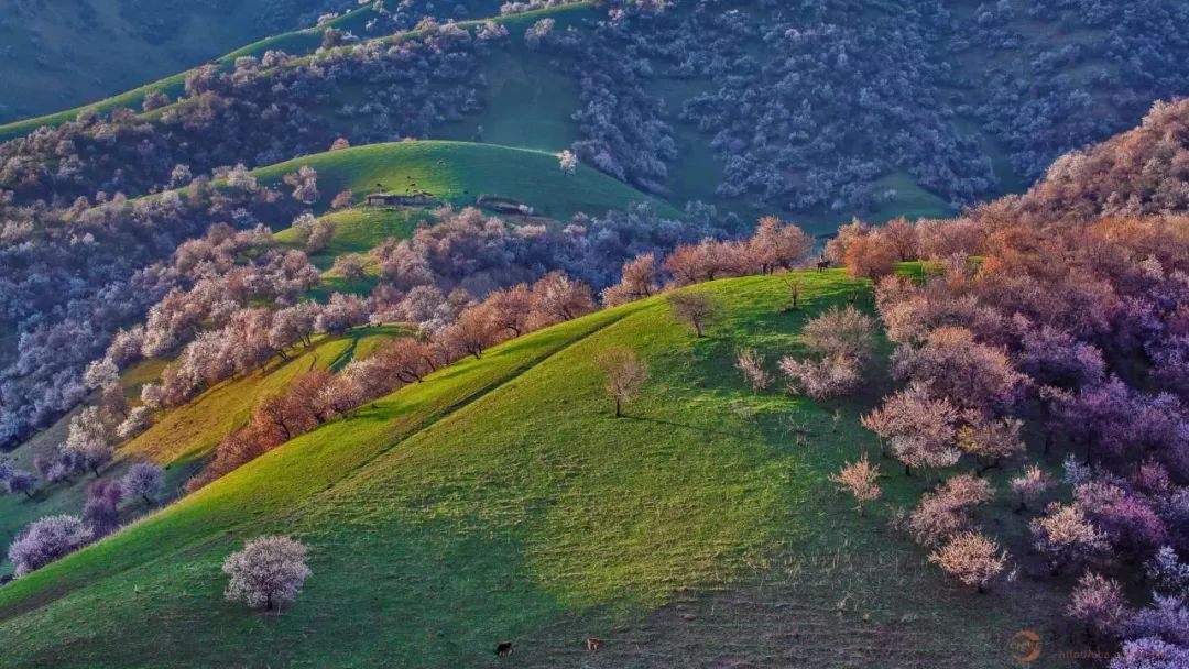 火了！新源又火了！全国瞩目，未来发展不可估量！为你的家乡比心