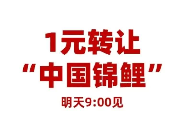 支付宝锦鲤姑娘现状,支付宝锦鲤少女现状