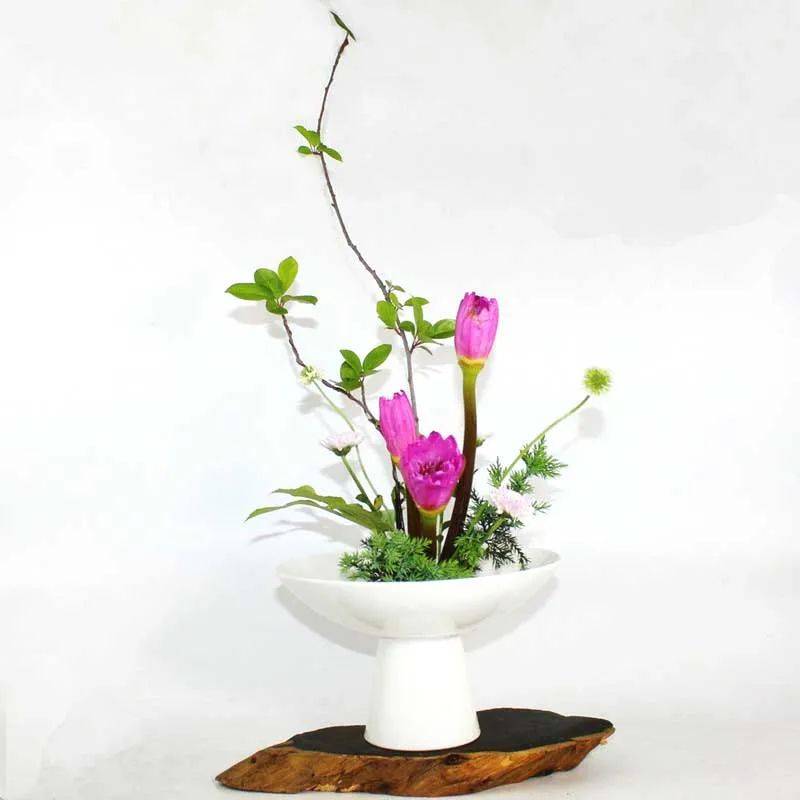 日式插花小原流花道,日式插花的13个基本技巧